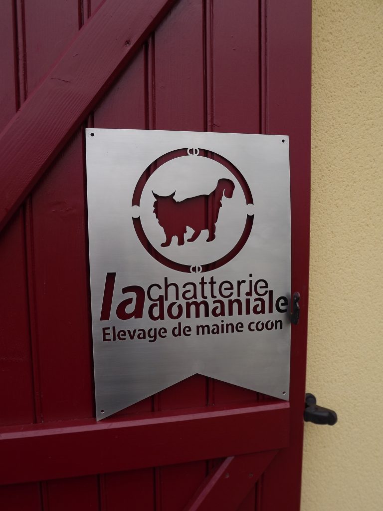 Affixe d'élevage de maine coon inox brossé