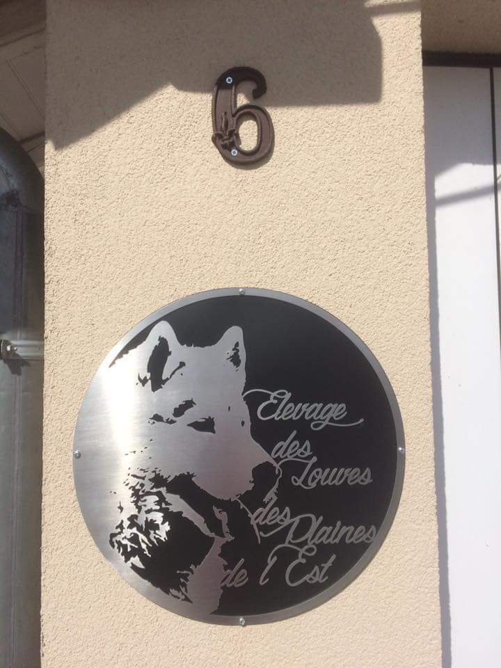 Brossé et noir