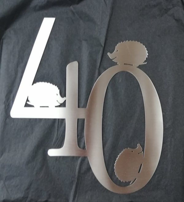 Numéro de Maison en inox brossé, personnalisé, format 30 x 20 – Image 3
